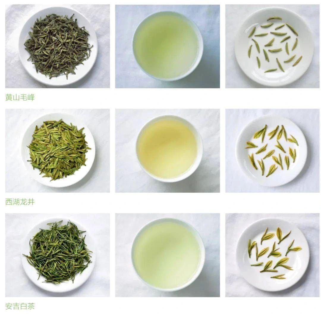 Tea Knowledge-Difference between different processes of green tea